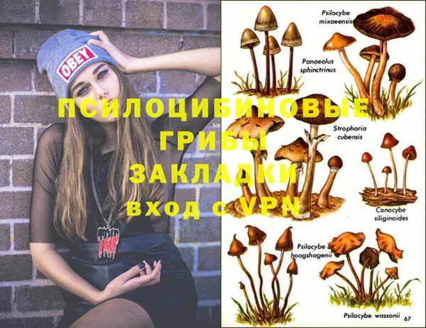 jwh Нефтекумск