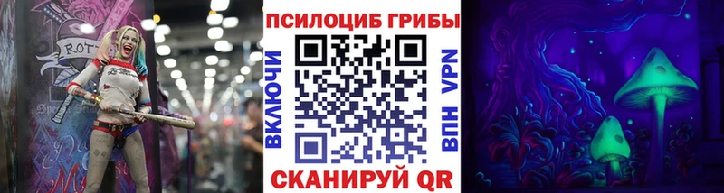 маркетплейс телеграм  Красноярск  Псилоцибиновые грибы прущие грибы 